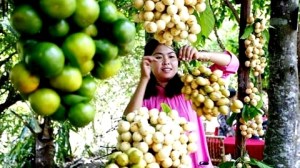 specialites-du-nam-bo