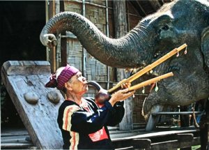 l'exposition-de-photo-a-dalat