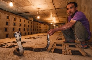 village-des-serpents