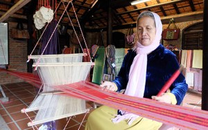 fete-culture-de-soirie-vietnam