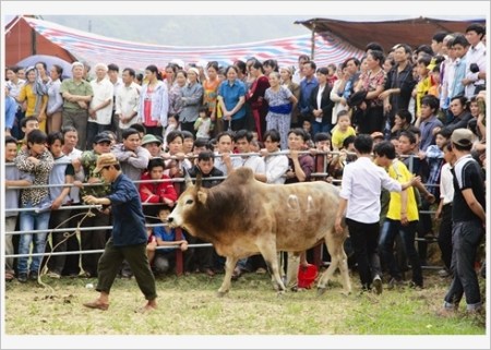 combattant-entre-dans-l'arene