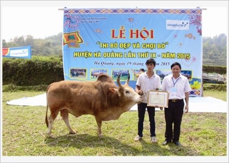 combattant-entre-dans-l'arene4