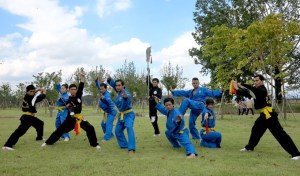 arts-martiaux-traditionnels