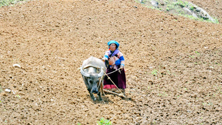 Les-minoritaires-ethniques3