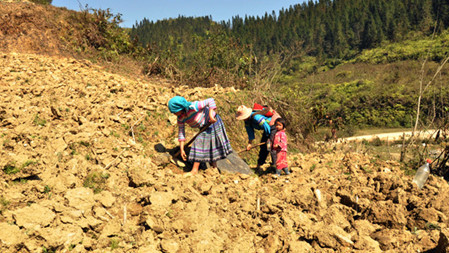 Les-minoritaires-ethniques6