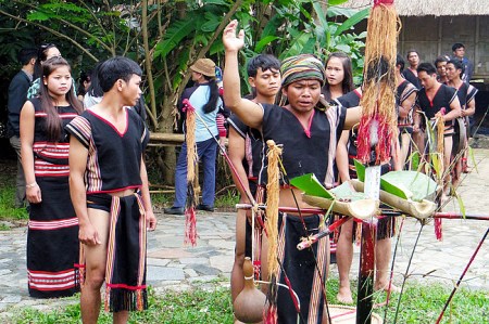 fete-du-nouveau-riz11