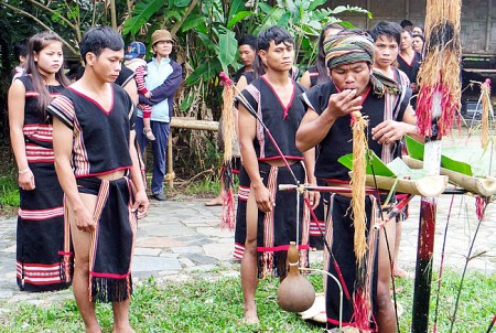 fete-du-nouveau-riz12