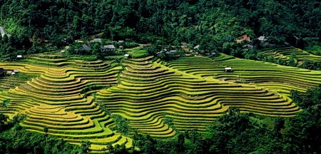 les-rizieres-en-terrasses-de-hoang-su-phi