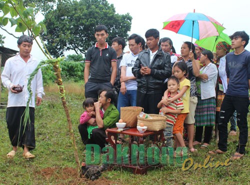 17-cung-dong-ho-tu-su