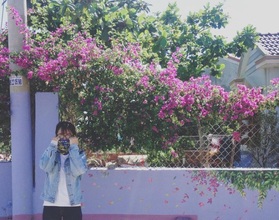 Une surface fleurissante