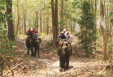 balade a dos elephant 1