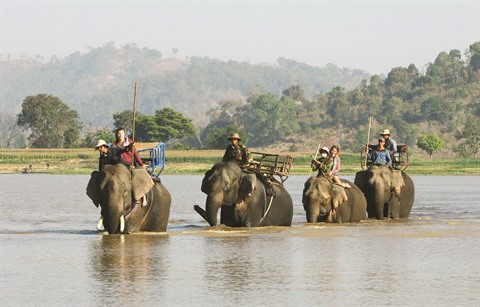 balade a dos elephant 2