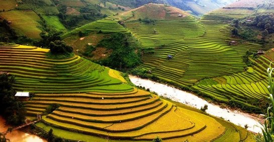 rizieres a mu cang chai
