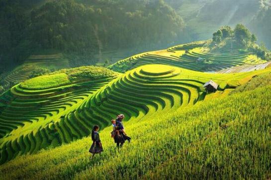 mu cang chai